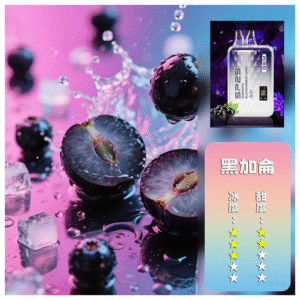 SP2S思博瑞GEM一次性拋棄式電子煙9000口【黑加侖糖果】